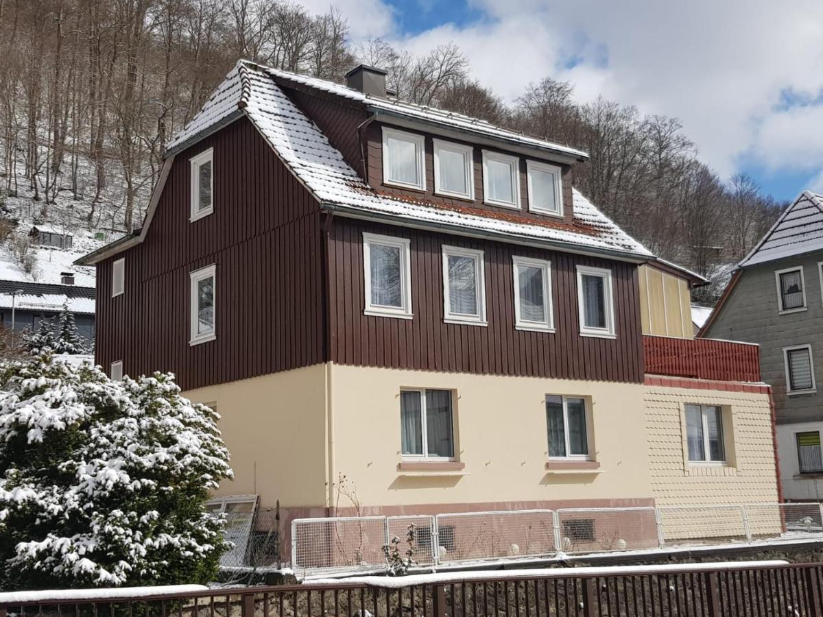 Haus Am Fluss Mit Wunderschoener Dachterrasse Mit Flussblick ,Garten Und Grill Zorge Zewnętrze zdjęcie
