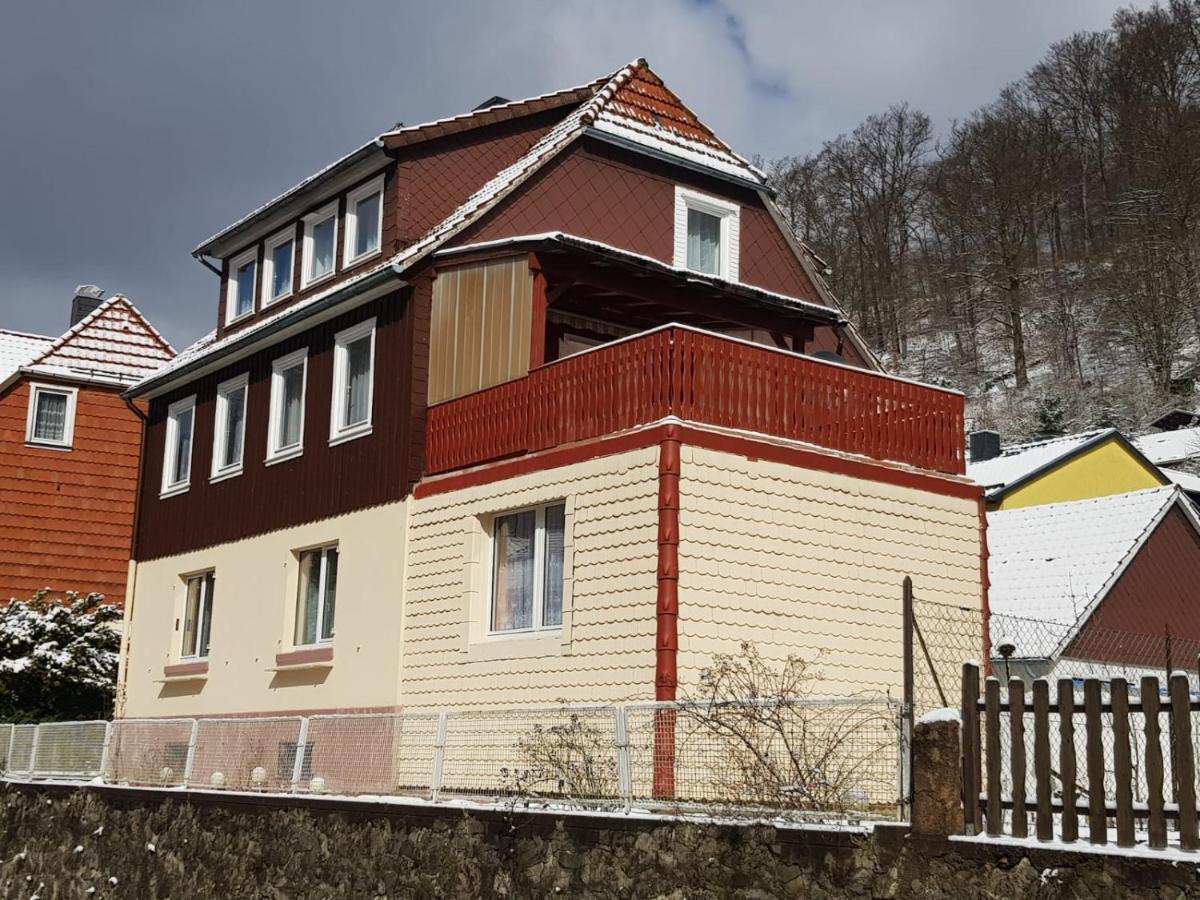 Haus Am Fluss Mit Wunderschoener Dachterrasse Mit Flussblick ,Garten Und Grill Zorge Zewnętrze zdjęcie