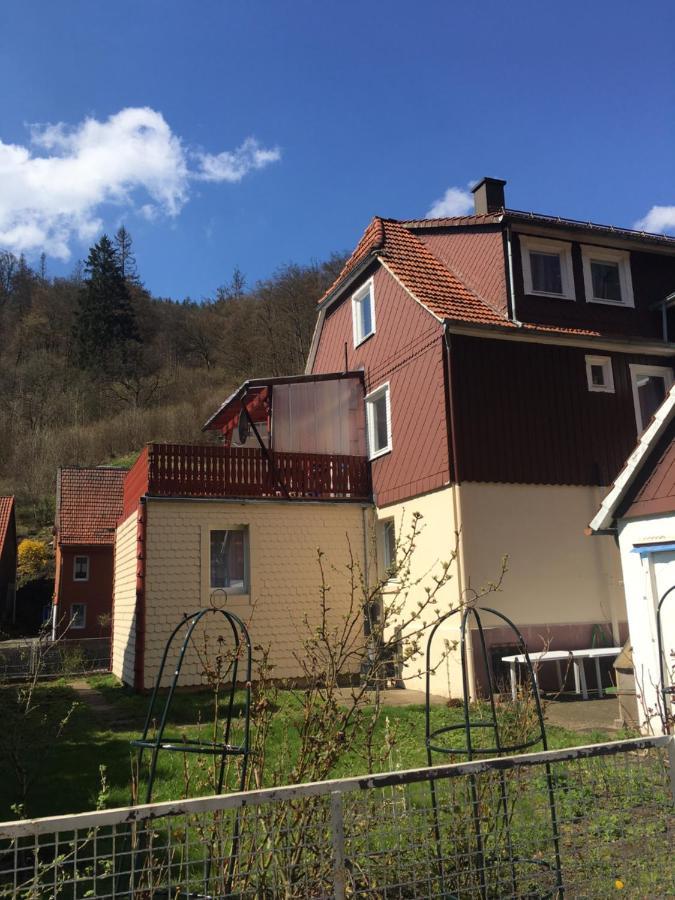 Haus Am Fluss Mit Wunderschoener Dachterrasse Mit Flussblick ,Garten Und Grill Zorge Zewnętrze zdjęcie
