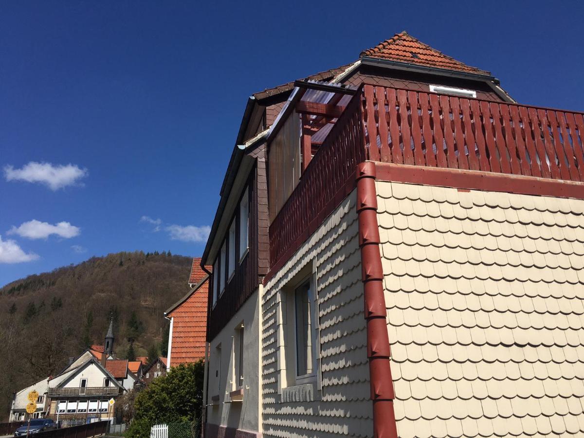 Haus Am Fluss Mit Wunderschoener Dachterrasse Mit Flussblick ,Garten Und Grill Zorge Zewnętrze zdjęcie