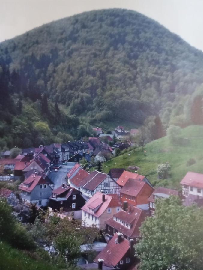 Haus Am Fluss Mit Wunderschoener Dachterrasse Mit Flussblick ,Garten Und Grill Zorge Zewnętrze zdjęcie